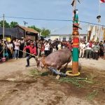 Perayaan Tradisional Yang Masih Menjadi Bagian Kehidupan
