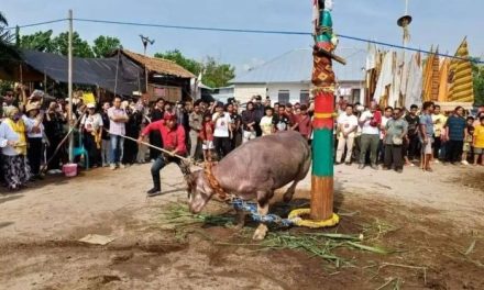 Perayaan Tradisional Yang Masih Menjadi Bagian Kehidupan