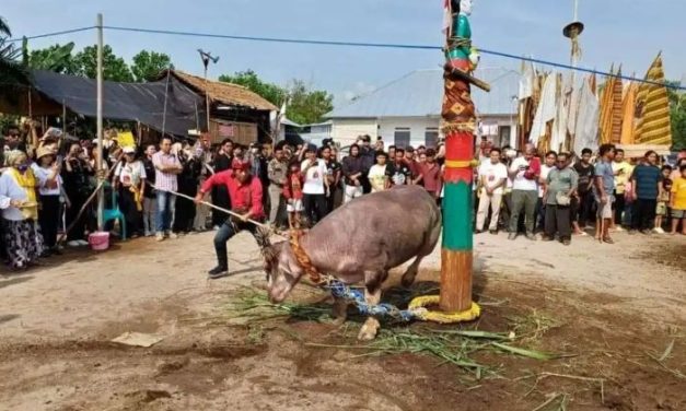 Perayaan Tradisional Yang Masih Menjadi Bagian Kehidupan