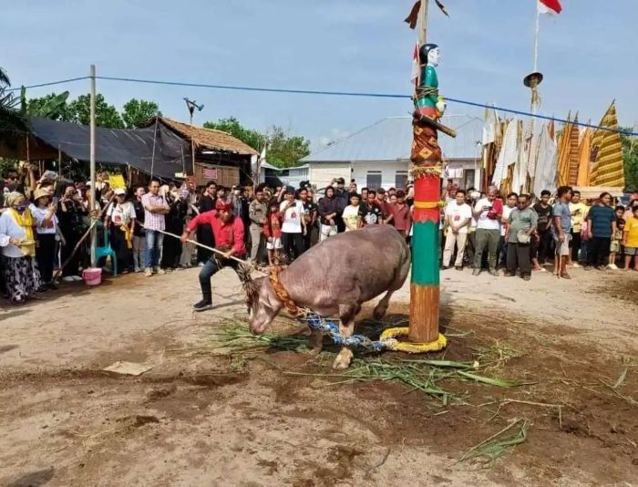 Perayaan Tradisional Yang Masih Menjadi Bagian Kehidupan